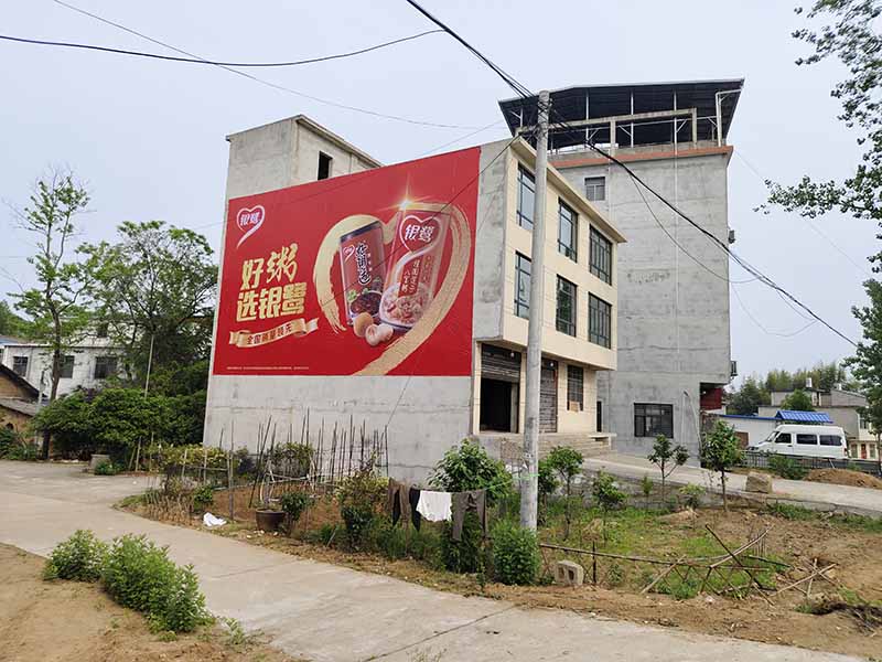 安徽墻體廣告_銀鷺好粥道