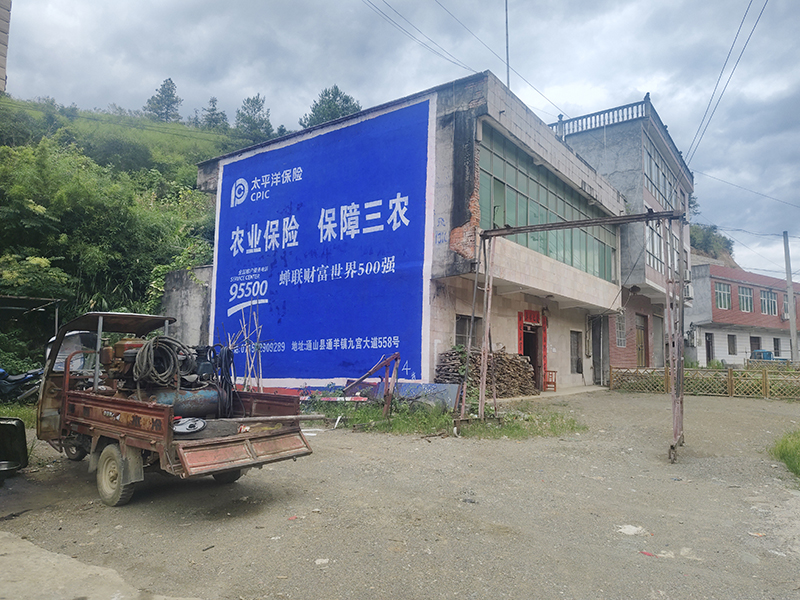 湖北墻體廣告_太平洋保險(xiǎn)案例
